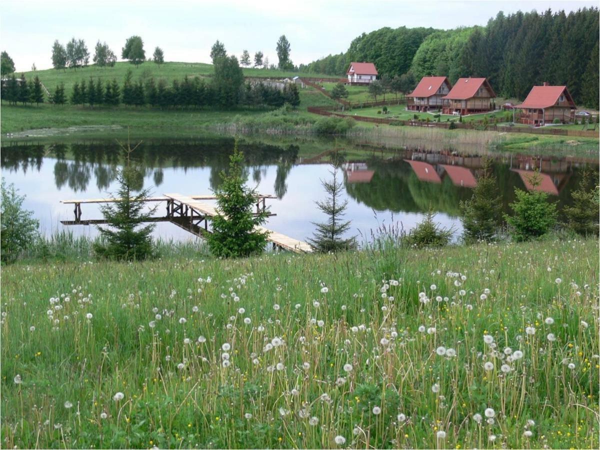 Zlota Lesniczowka Villa Rydzowka Eksteriør billede