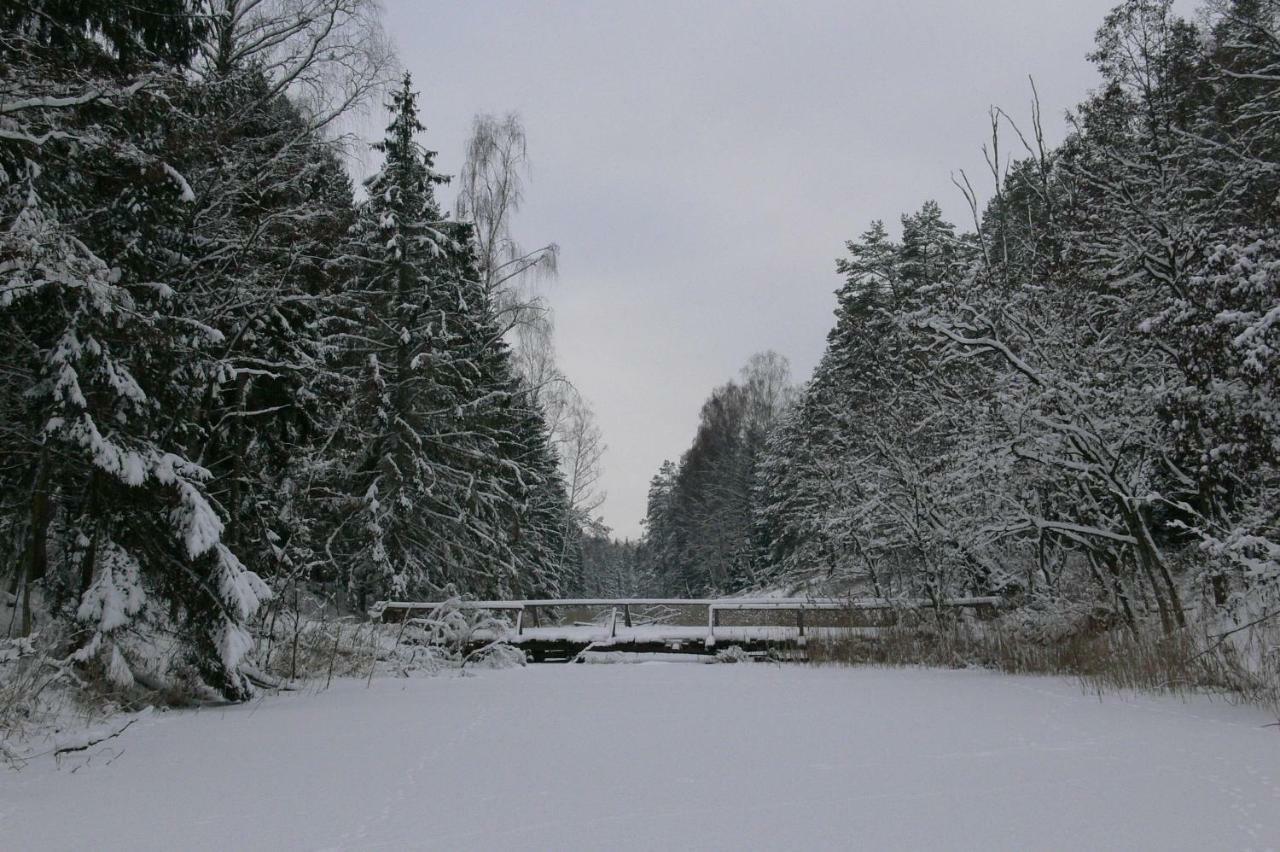 Zlota Lesniczowka Villa Rydzowka Eksteriør billede