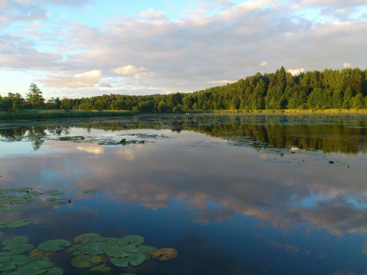 Zlota Lesniczowka Villa Rydzowka Eksteriør billede